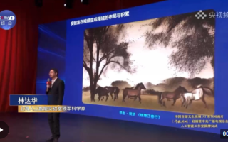 找AI视频国内代理商别瞎忙，2026年真实选门道分享（附避坑干货）