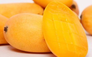 找芒果AI代理，别光看名头大，得先摸清这些门道