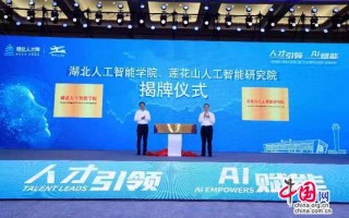 找大洋ai湖北总代理差点把我搞疯！跑断腿总结的干货都在这