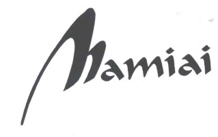 差点被罚200万！我用“AI商标代理”血泪史，换来这3条保命经验